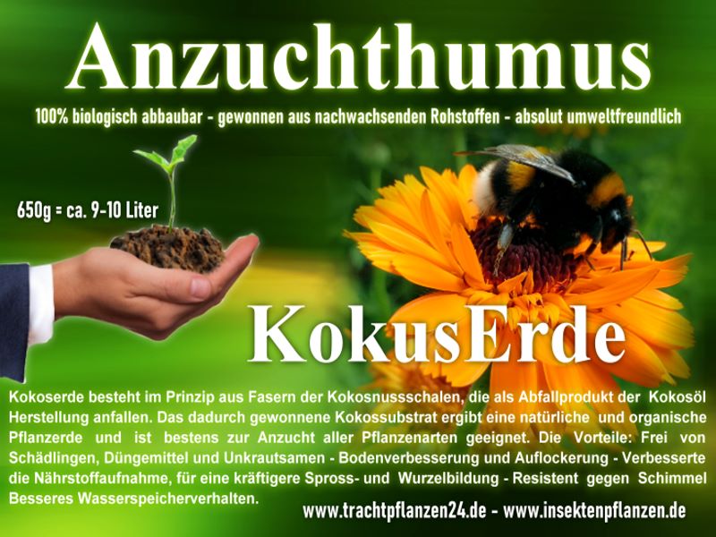 https://shop.trachtpflanzen24.de/images/bilder/humusziegel_01.jpg