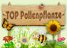 Top Pollenpflanze!